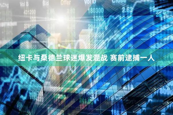 纽卡与桑德兰球迷爆发混战 赛前逮捕一人
