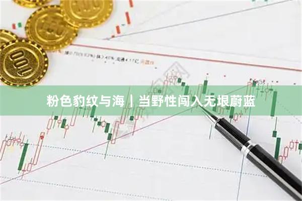 粉色豹纹与海｜当野性闯入无垠蔚蓝